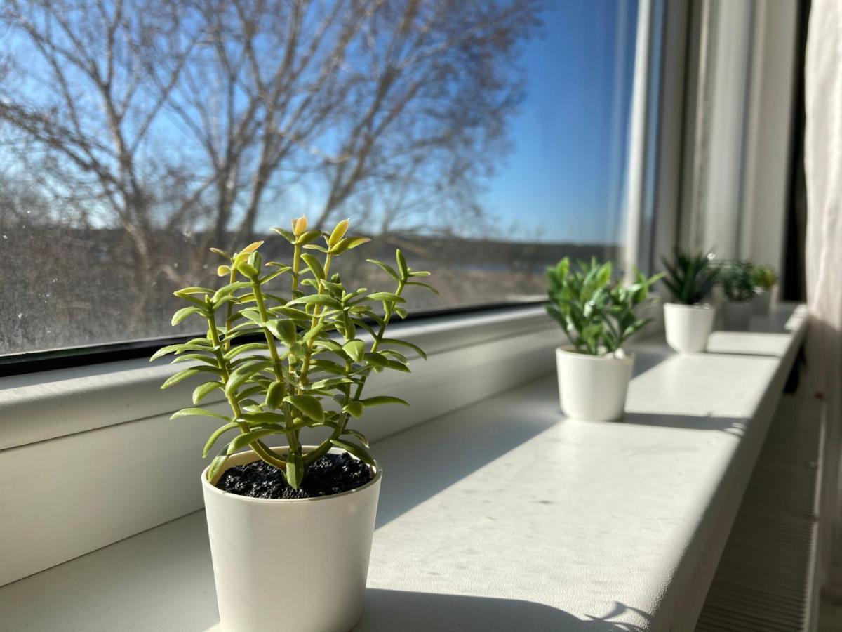 Luminous In Apartment